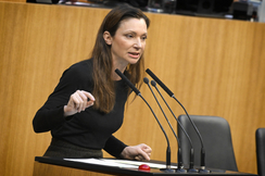 FPÖ-Verfassungssprecherin Susanne Fürst im Hohen Haus.