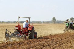 FPÖ-Agrarsprecher Schmiedlechner: "Trotz des von der EU verordneten Produktionsrückgangs wird 'Farm to Fork' keinen Vorteil fürs Klima bringen und nur alles teurer machen."