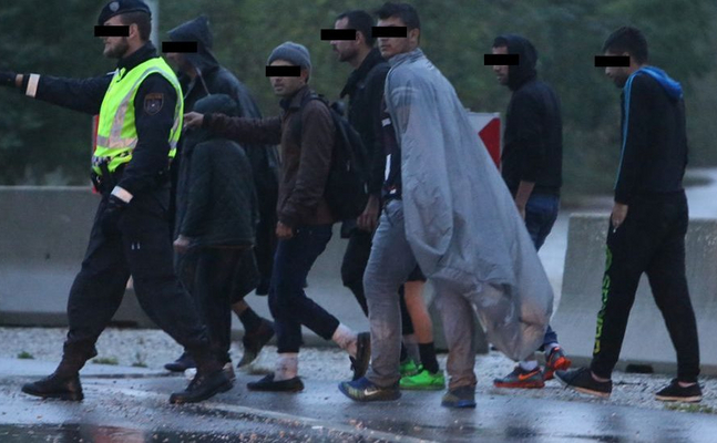 FPÖ beklagt geplantes türkis-grünes "Obsorgepaket" für vorgeblich jugendliche Migranten.
